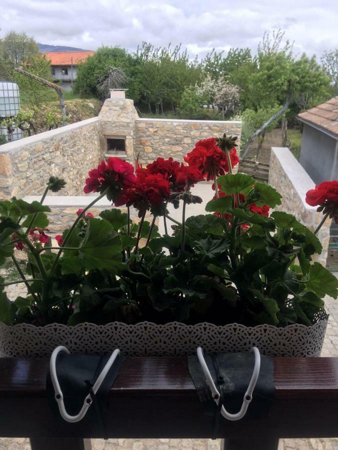 Casa Freixedelo Villa Santa Comba de Rossas Eksteriør bilde